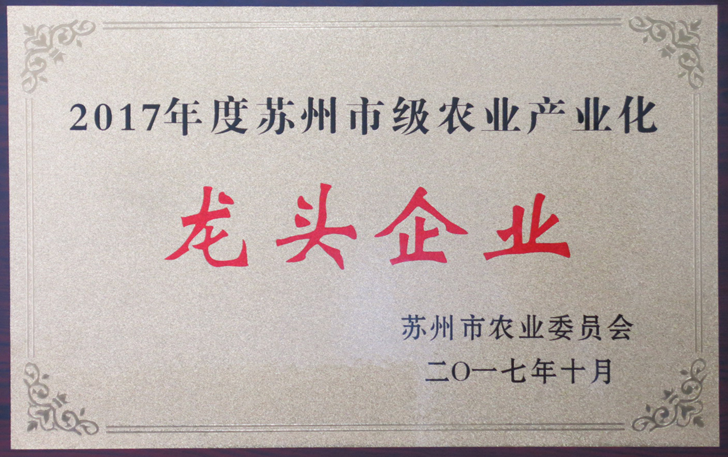 有机认证标志4